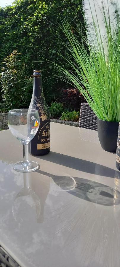 Le Gai Pinson Villa Beausaint Eksteriør bilde